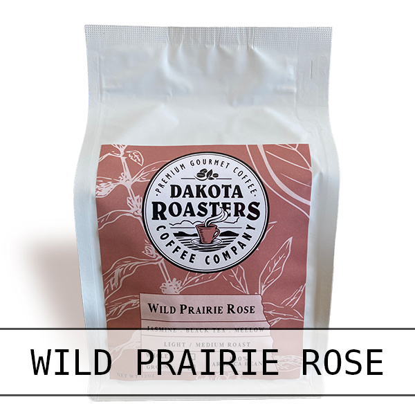 Wild Prairie Rose